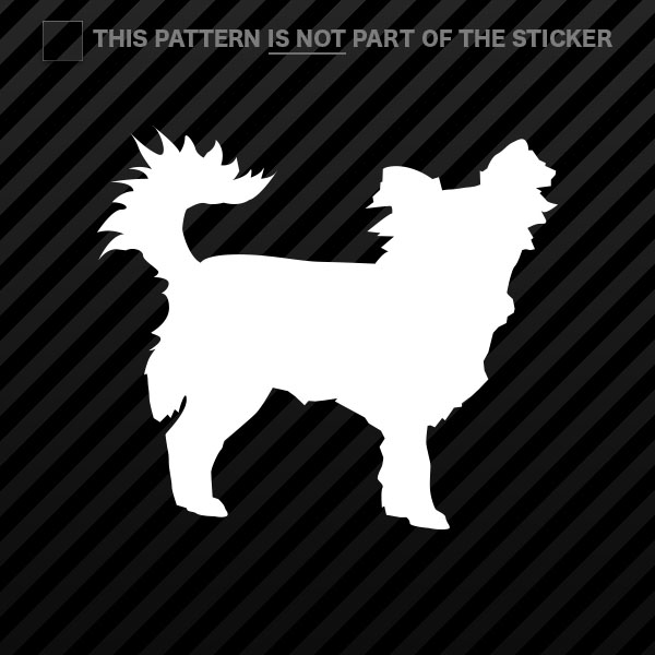(2x) Long Haired Chihuahua Sticker Self Adhesive Vinyl dog canine pet